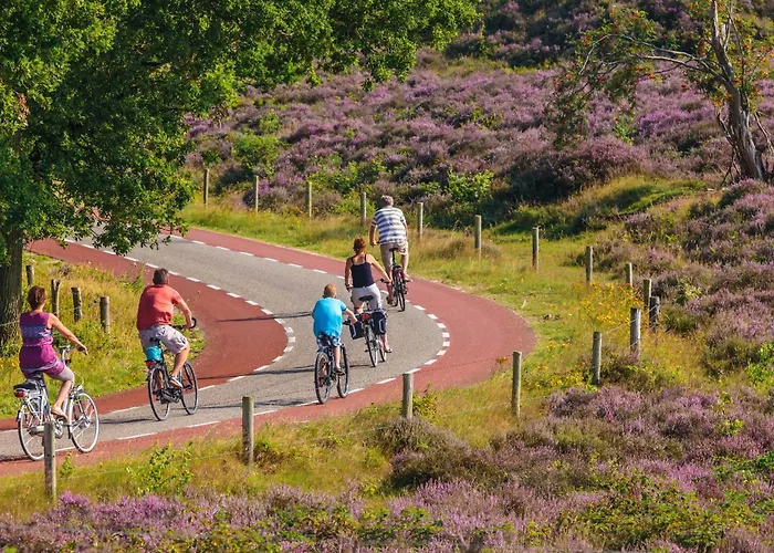 Anvibe 1 Alpstuga Lathum